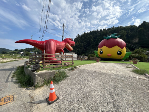 20250804.jpg