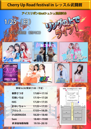 Cherry Up Road festival.jpg