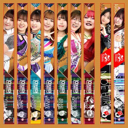 strap4.jpg