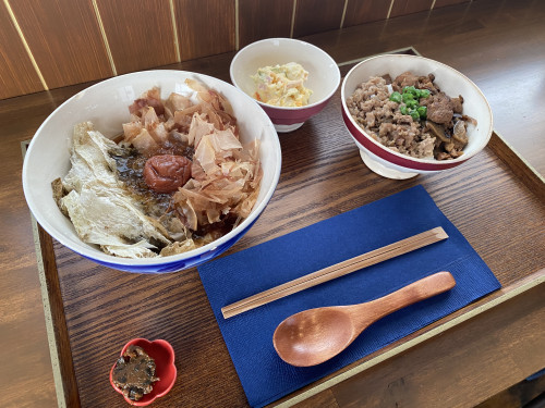 梅おぼろうどん(温、冷)
