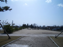 CIMG0923.JPG
