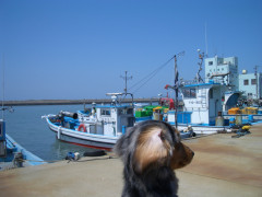 CIMG0981.JPG