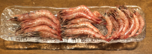 20250501未利用魚7.jpg
