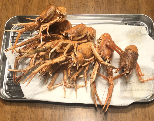 20250528ガシャエビ.jpg