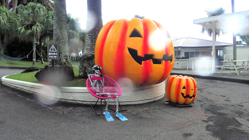 20250920IOPハロウィン支度.JPG