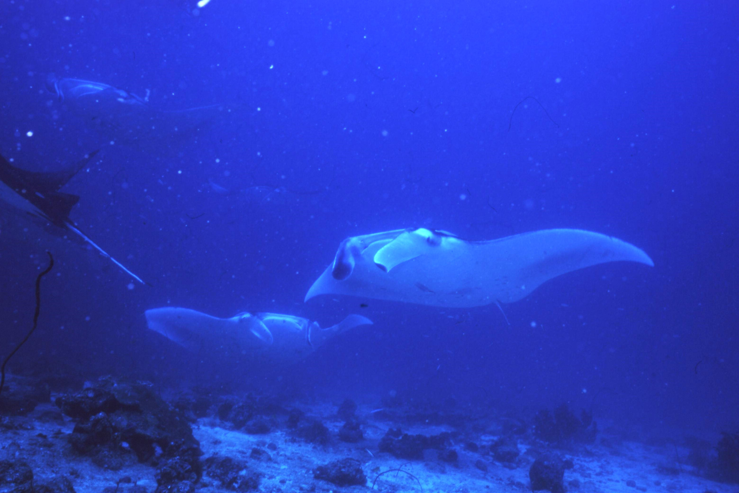 　　　　　　　　　　　日常を忘れる…。　　　　　　　　　　　　　　　　　　　　