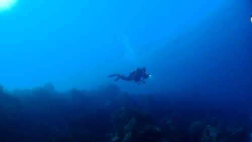 20260124iopd-2Yasuyuki .JPG