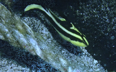 20260829IOPG.JPG
