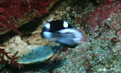 20260829G-XX.JPG