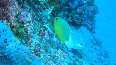 20260912IOP繁殖４.jpg