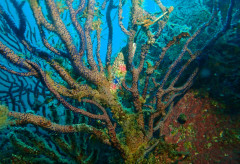 PA176600[1].jpg