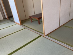 IMG_6358.jpeg