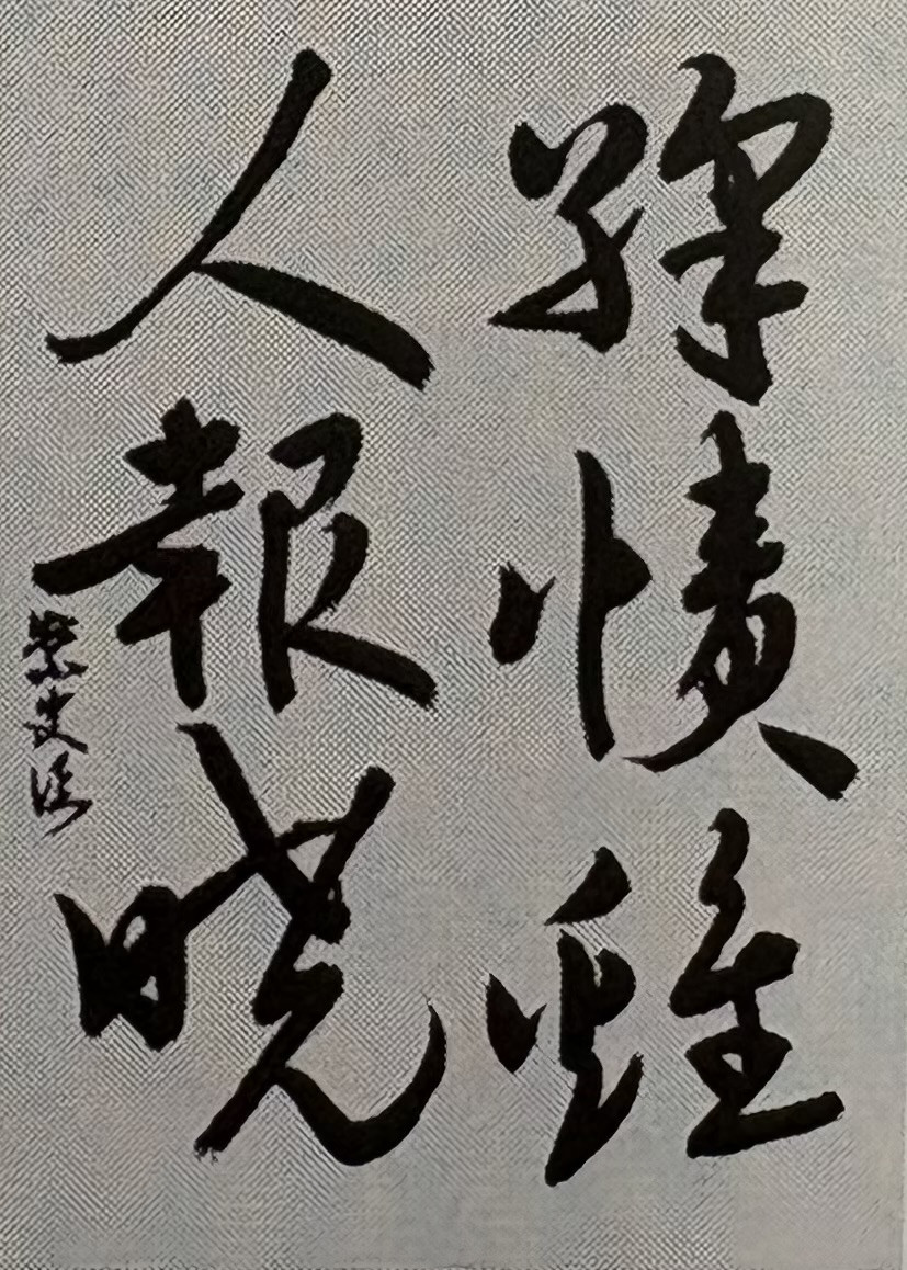 IMG_3079.jpeg