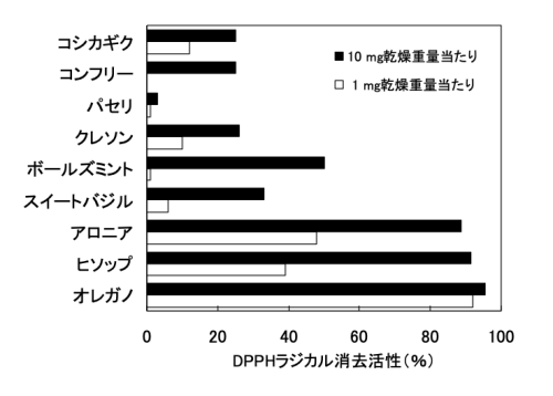 スクリーンショット 2023-07-31 12.16.00.png