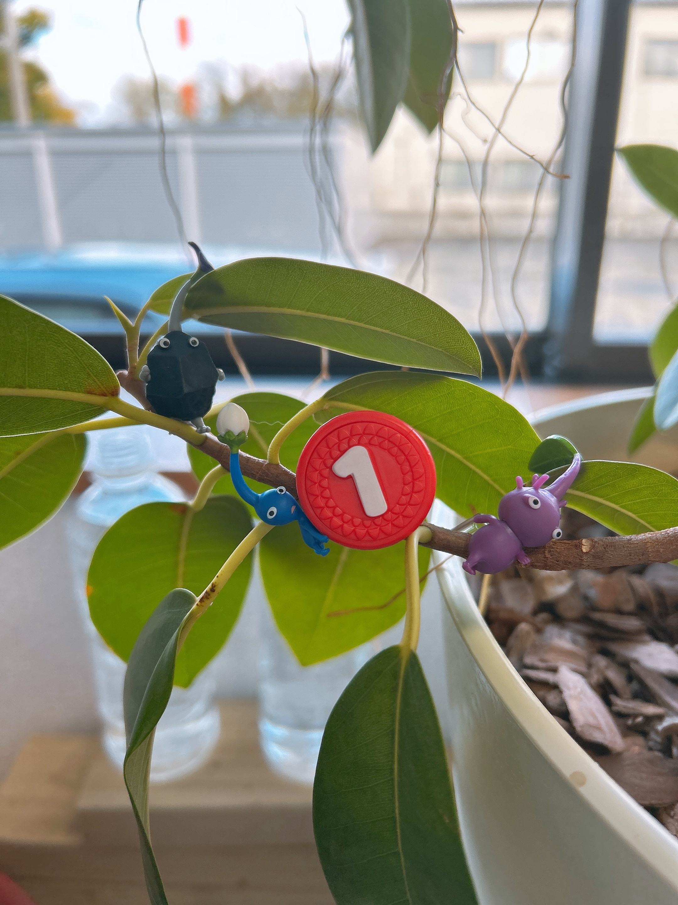 新潟支店の新入社員さんです