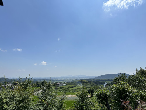 IMG_2382.jpeg