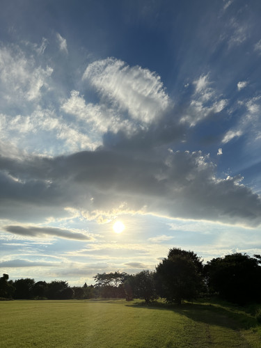 IMG_2438.jpeg