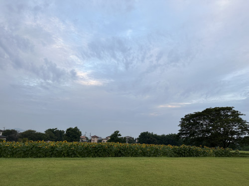 IMG_2541.jpeg