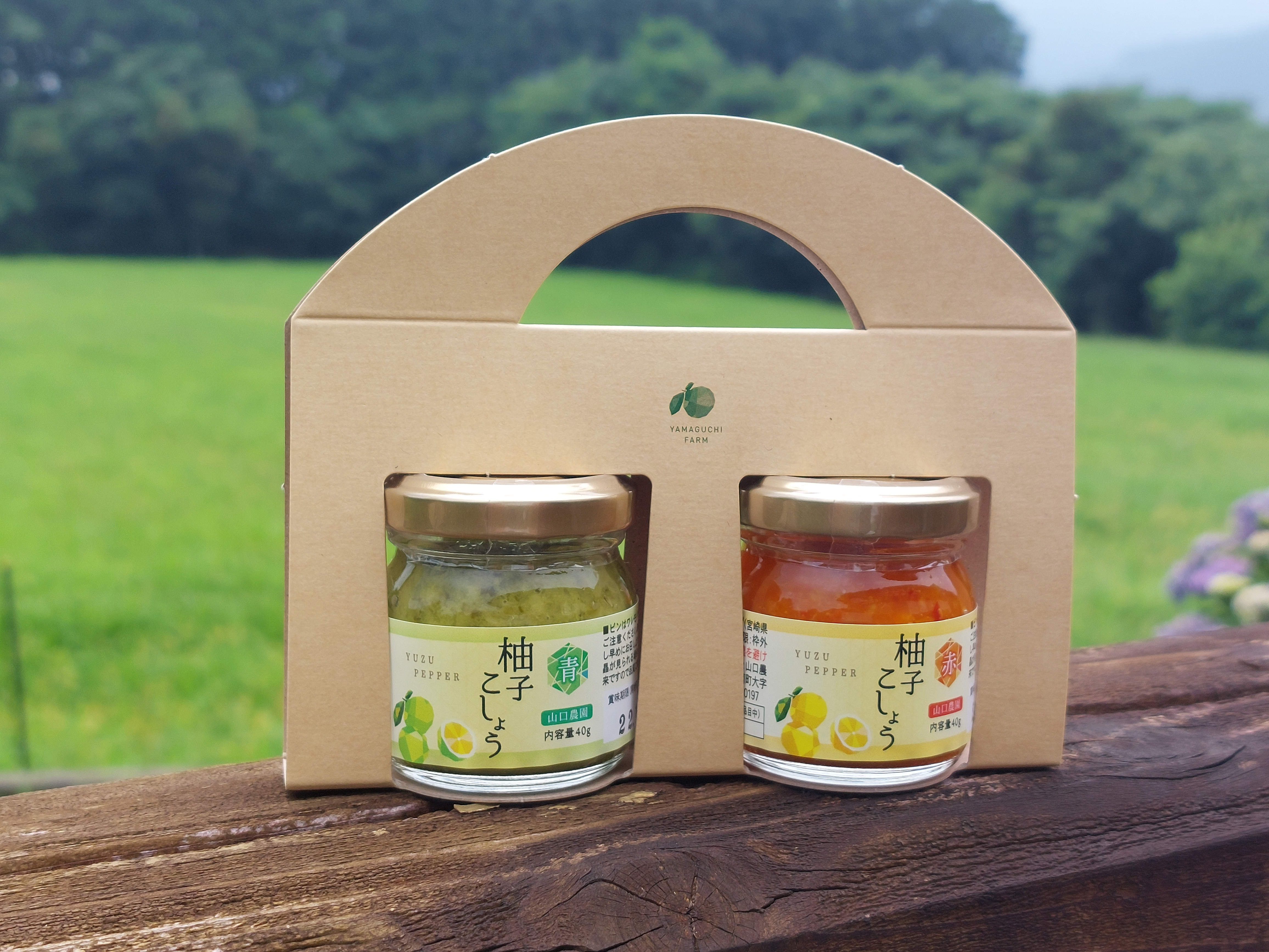 山口農園（宮崎県児湯郡川南町）