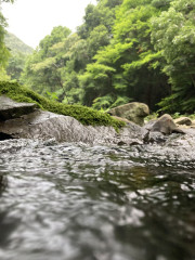 private river_02.jpeg