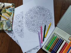新たに4月スタート！「大人のぬり絵教室」