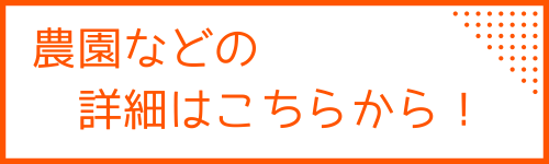 オレンジ モダン バナー 代理店 マーケティング Docs (1).png