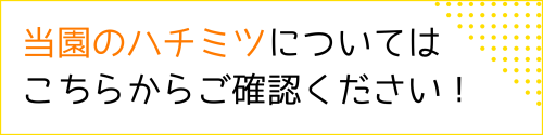 ハチミツ情報はこちらから！.png