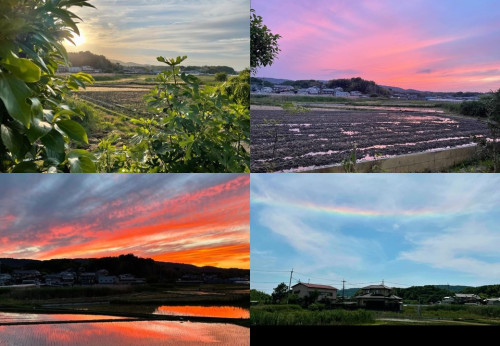 5.Ninoの森から見える風景.jpg