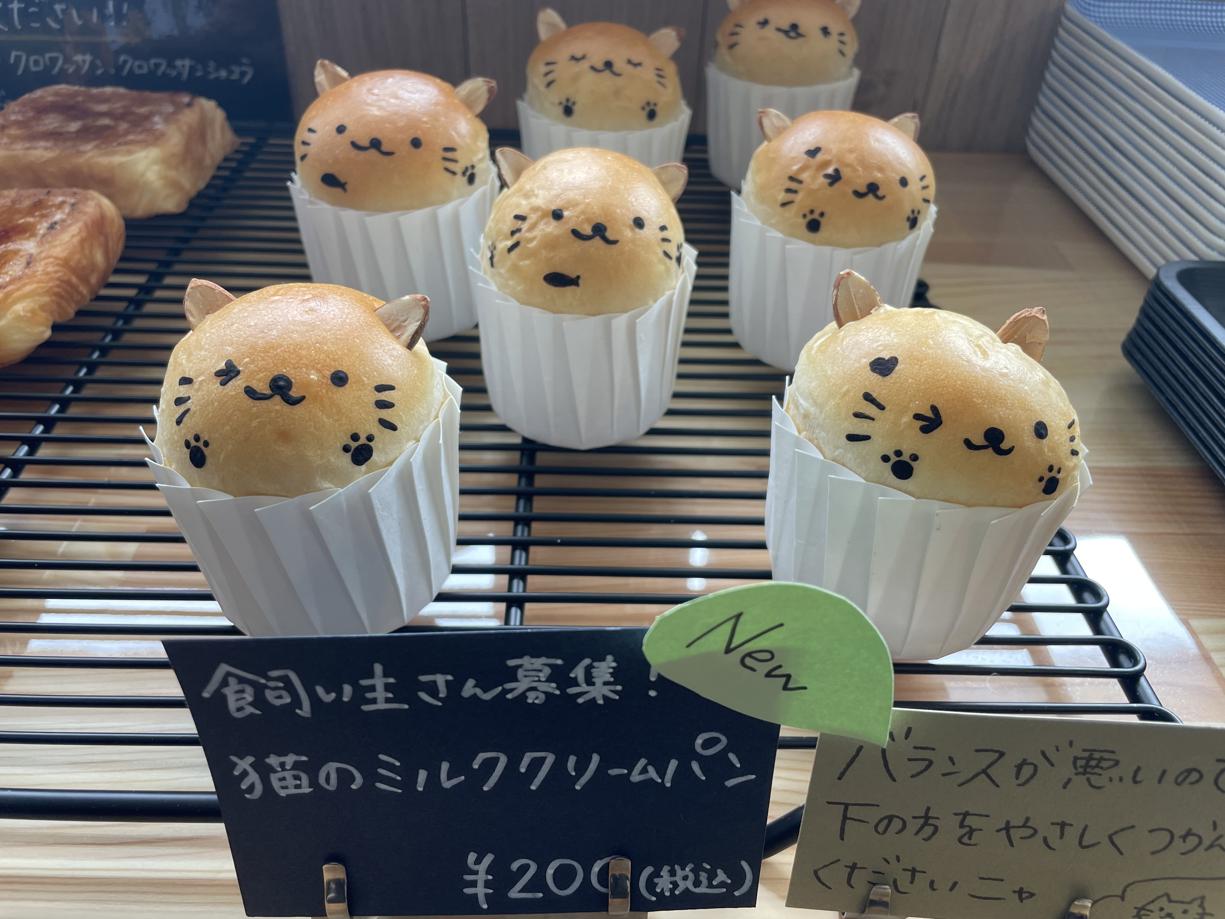 猫のミルククリームパン