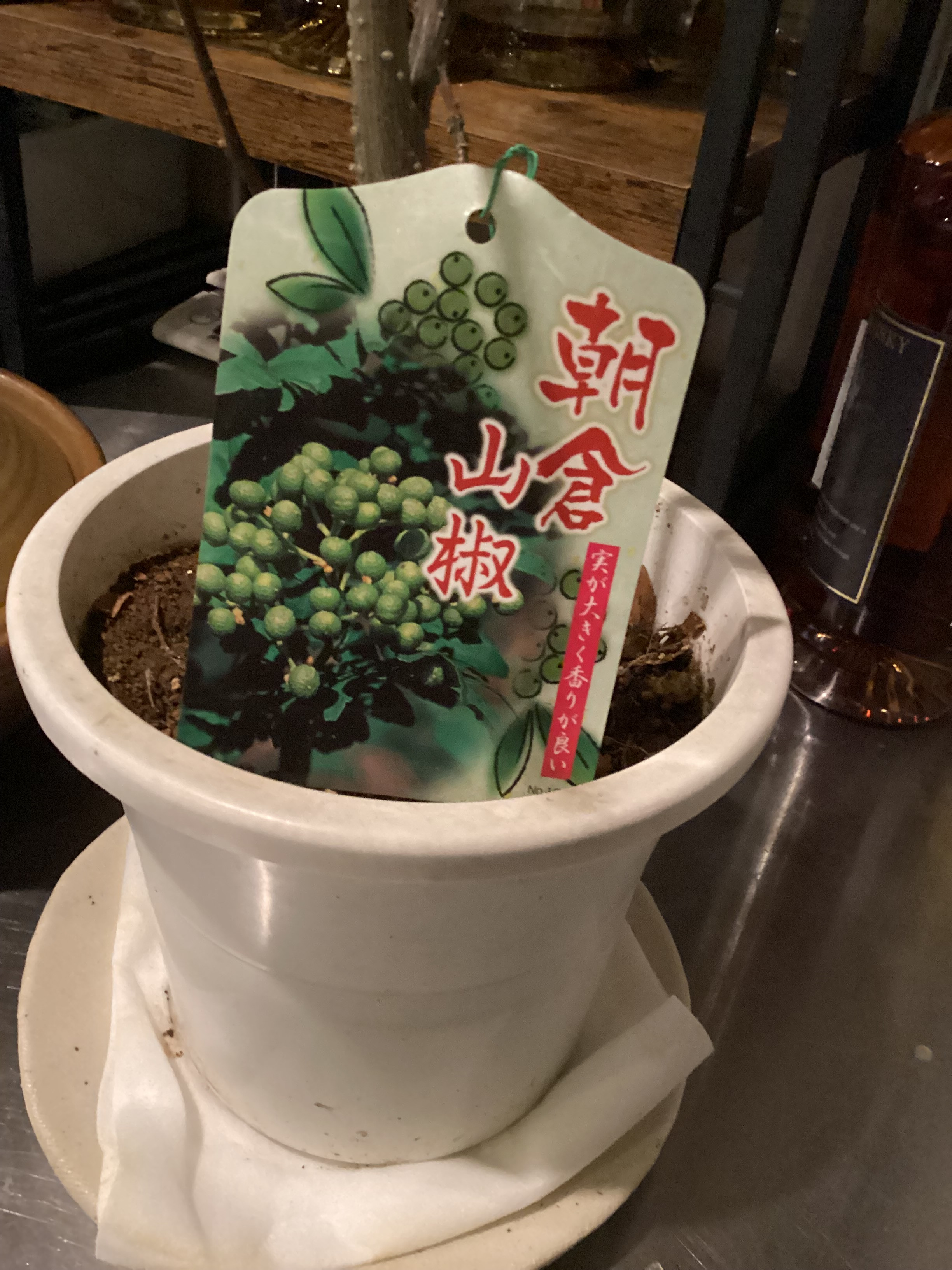 IMG_0131.jpeg