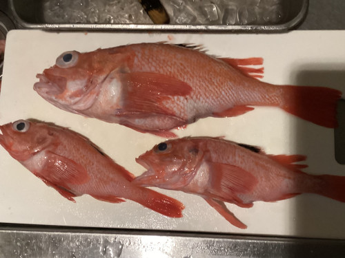 きびとの日常。其ノ漆【仕込み🔪✨】