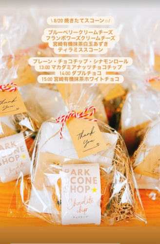 SnapCrab_NoName_2026-8-20_8-33-1_No-00.png