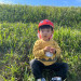 AFLD2645[1].JPEG