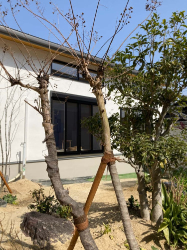LINE_ALBUM_岡崎市　岩瀬邸_220312_53.jpg