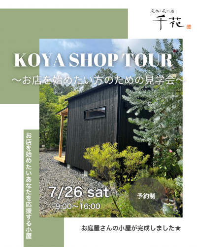 KOYA SHOP TOUR