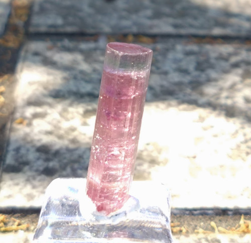 Bi-color Tourmaline