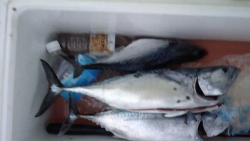 IMG_20250505_182304~2.jpg