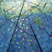 20100619_861232.jpg