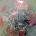 20100619_861324.jpg