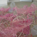 20100619_861326.jpg