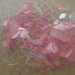 20100619_861328.jpg