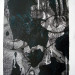 20100619_861333.jpg