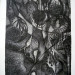 20100619_861335.jpg