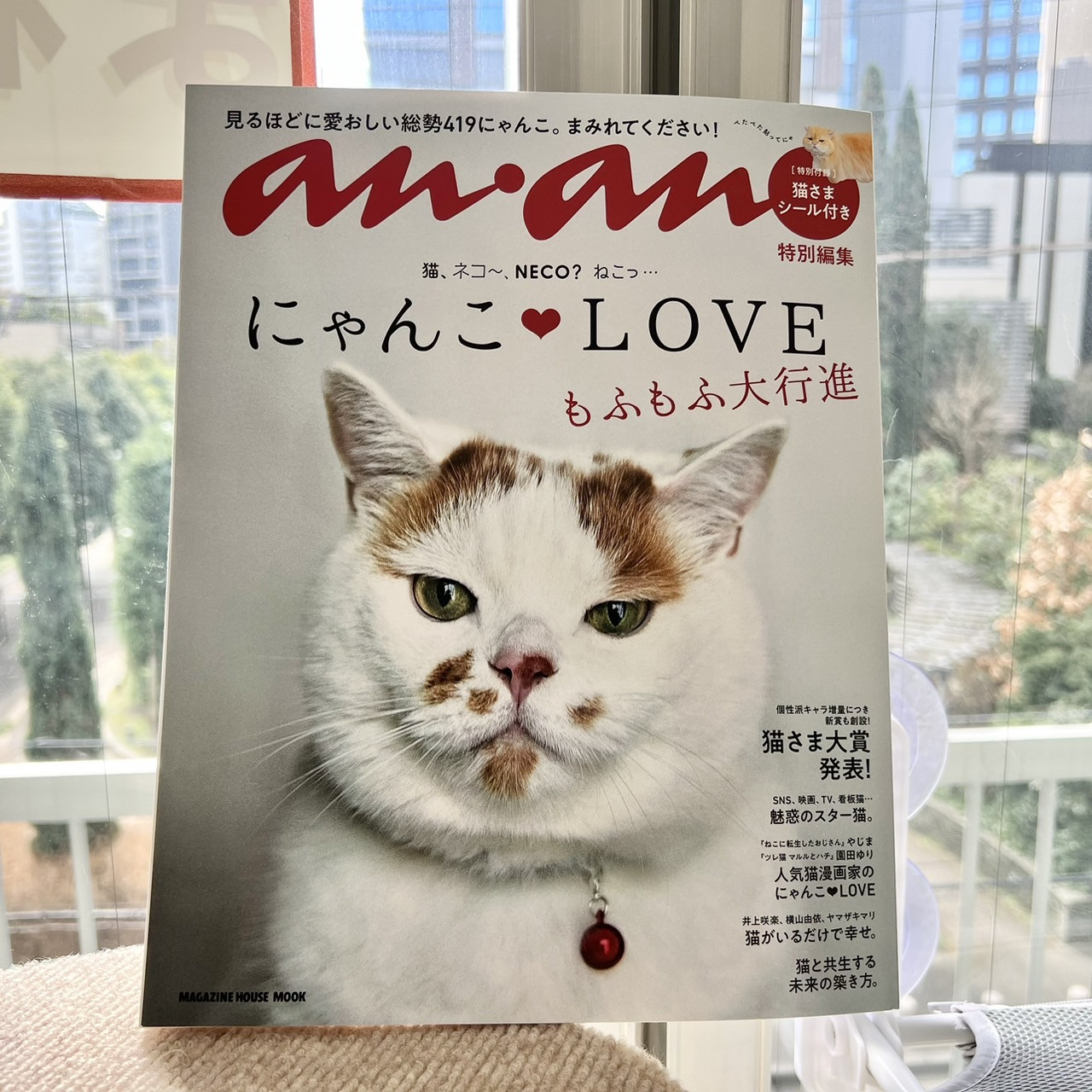 ananにゃんこ❤️LOVE号　　　😸東京 猫ホテル まねきねこ