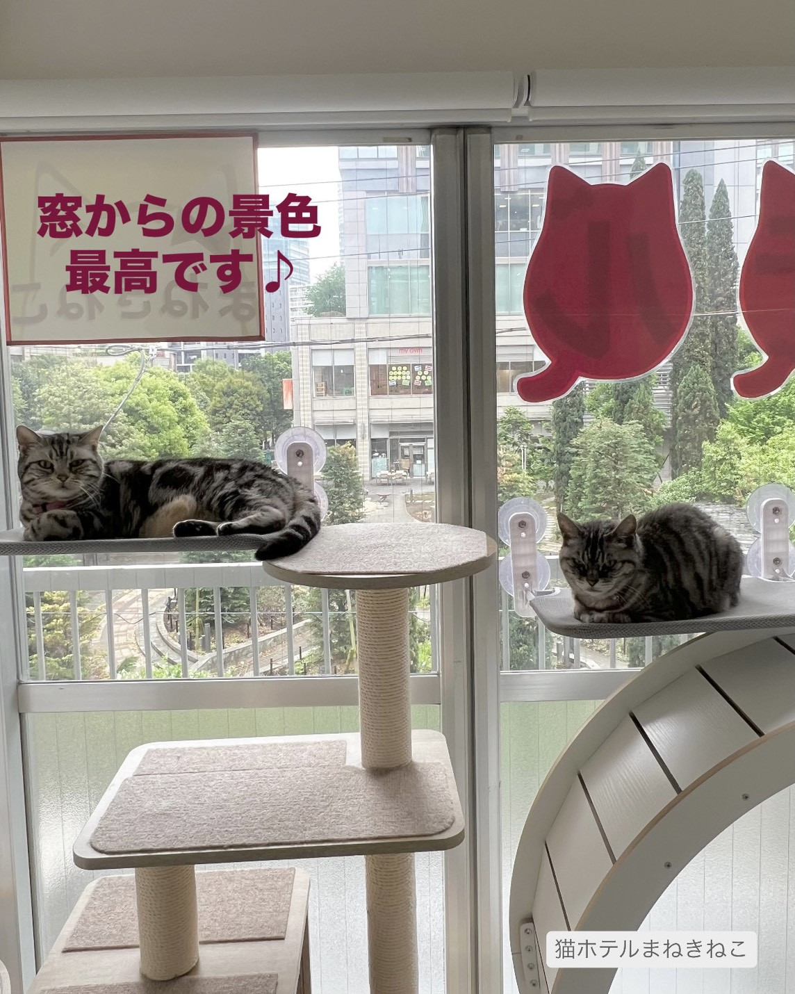 line_oa_chat_260611_114636.jpeg