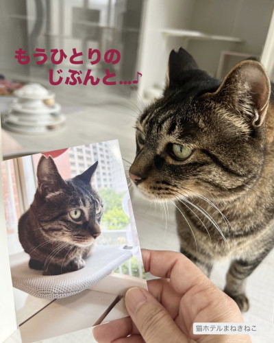 line_oa_chat_260620_173749.jpeg