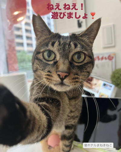 line_oa_chat_260620_173752.jpeg