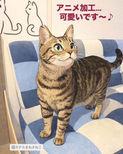 line_oa_chat_260620_173755.jpeg