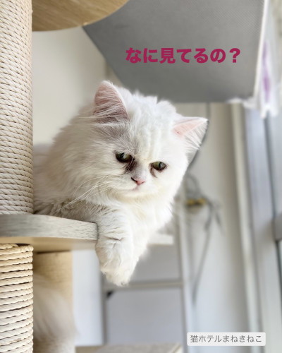 line_oa_chat_260622_103540.jpeg