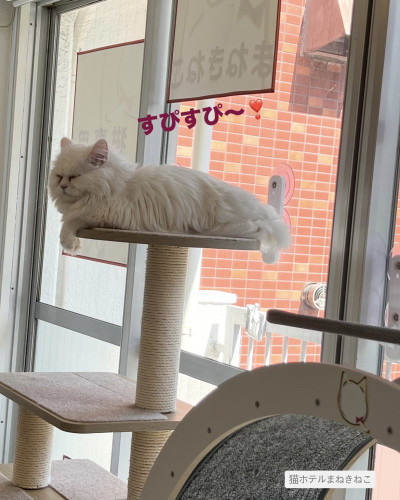 line_oa_chat_260622_103543.jpeg